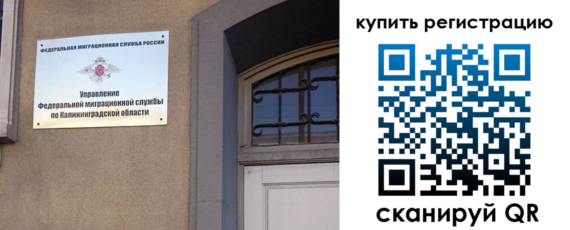 прописка законно в Камышине