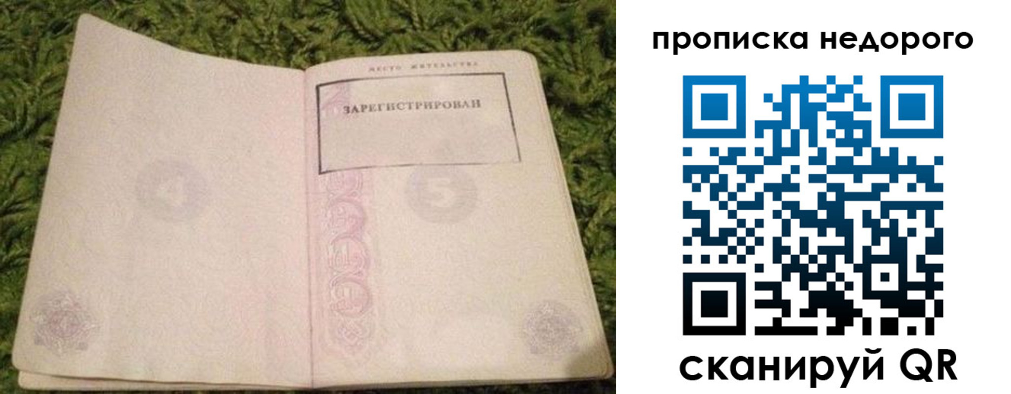прописка иностранных граждан в Камышине